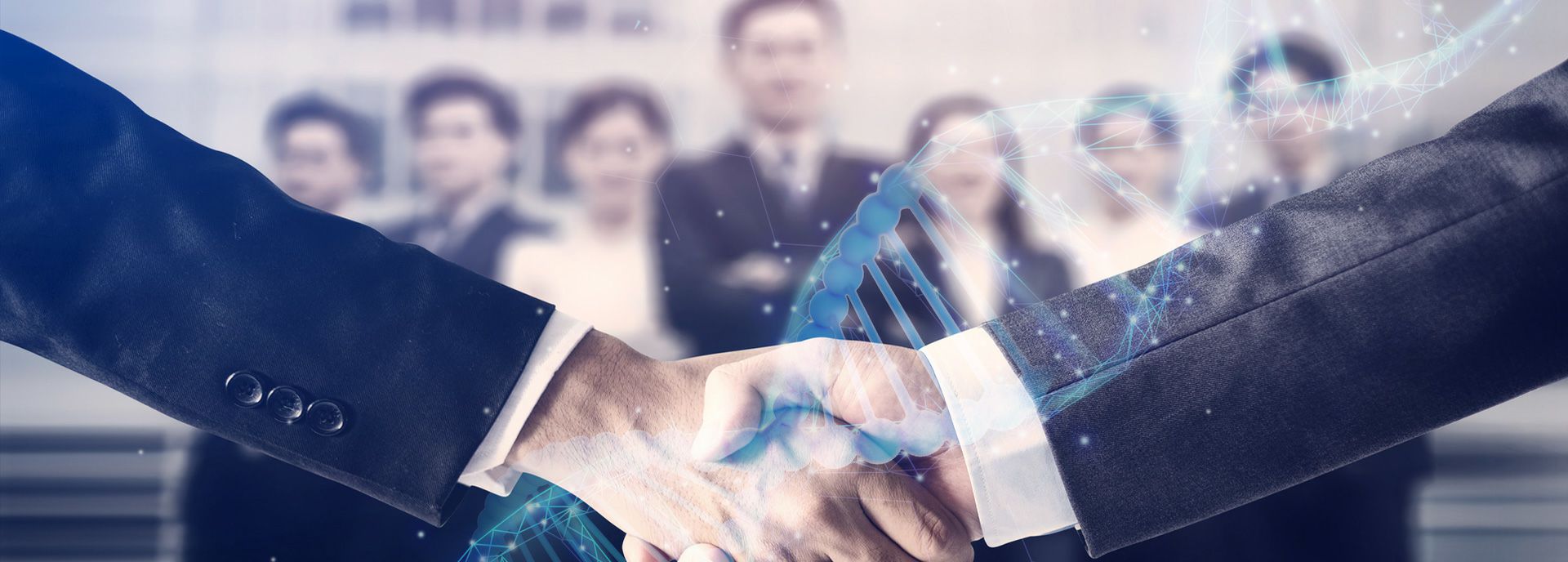 星空app官方站入口-星空(中国)